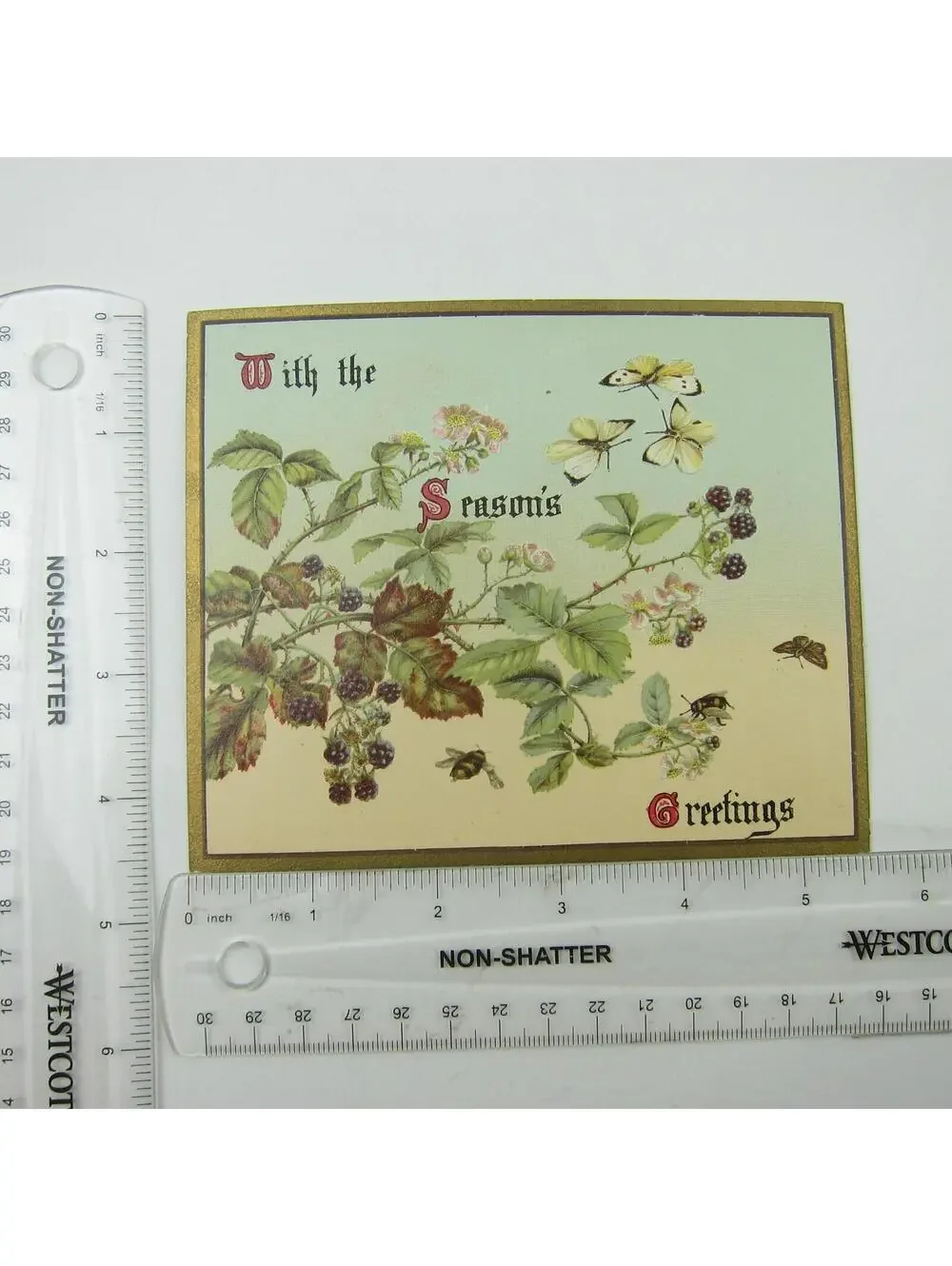 Victorian Greeting Card Raphael Tuck Flowers Blackberries Butterfly Bee Antique